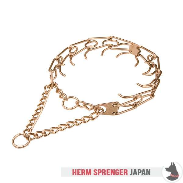 "Aggression Hunter" クロガンのピンチカラー中心部プレートと組み立てチェーン付き (4 mm x 63.5 cm)