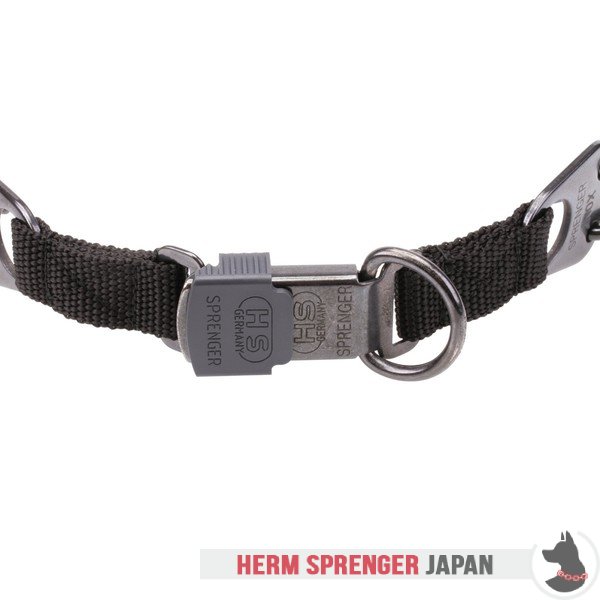 "Black Force" 黒染めステンレス鋼製ピンチ首輪　中心部プレートとクリック・ロック・バックル付き(4 mm x 60 cm)