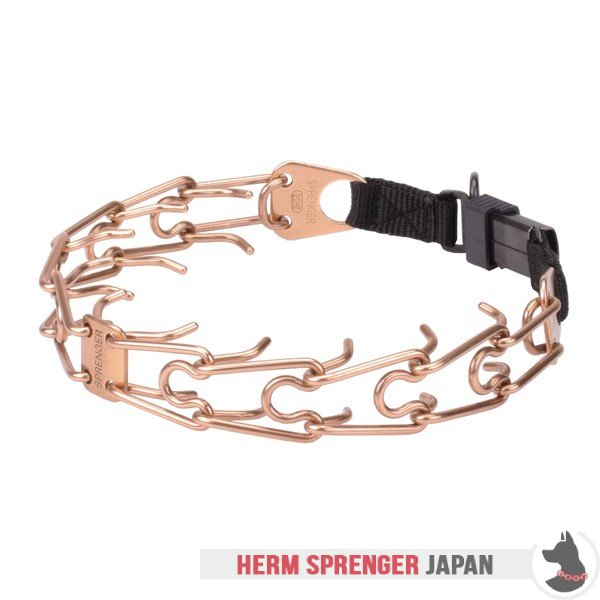 "Aggression Buster" クロガンのピンチ首輪中心部のプレートとクリック・ロック・バックル付き(4 mm x 60cm)