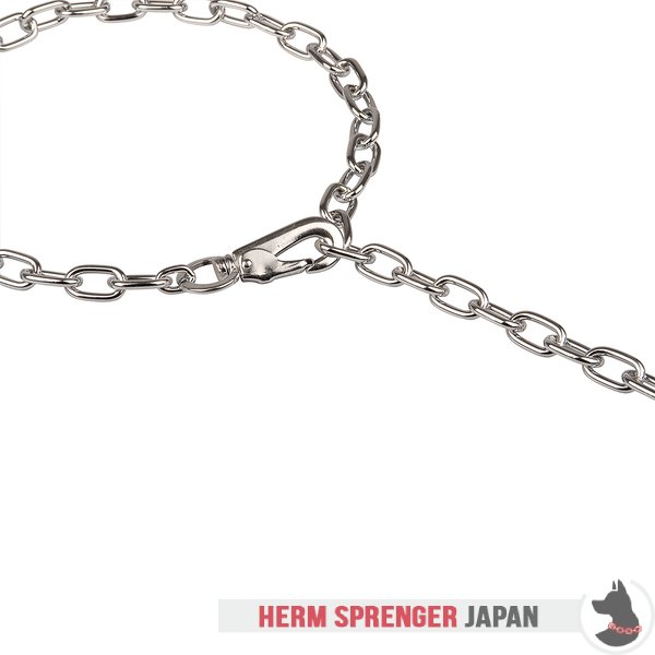 "Hook Time" クロムメッキ鋼の中型リンクチェーンカラー　スナップフック付き - 3.0 mm