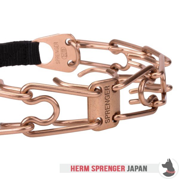 "Aggression Buster" クロガンのピンチ首輪中心部のプレートとクリック・ロック・バックル付き(4 mm x 60cm)