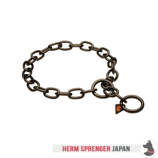 "Royal Guardian" 黒染めステンレススチール製中型リンクのチョークカラー - 4.0 mm