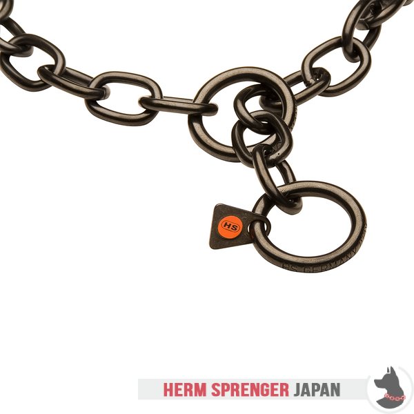 "Royal Guardian" 黒染めステンレススチール製中型リンクのチョークカラー - 4.0 mm