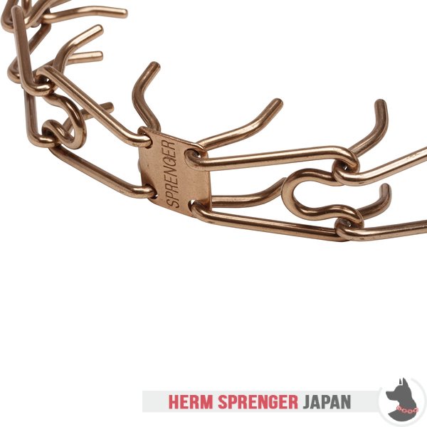 "Shiny Holder" クロガン・ピンチ・カラー 中心部プレートとクリックロックバックル付き - (3.2 mm x 52cm)