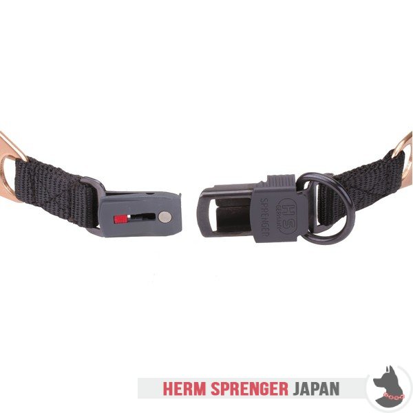 "Aggression Buster" クロガンのピンチ首輪中心部のプレートとクリック・ロック・バックル付き(4 mm x 60cm)