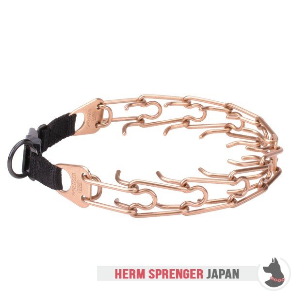 "Aggression Buster" クロガンのピンチ首輪中心部のプレートとクリック・ロック・バックル付き(4 mm x 60cm)