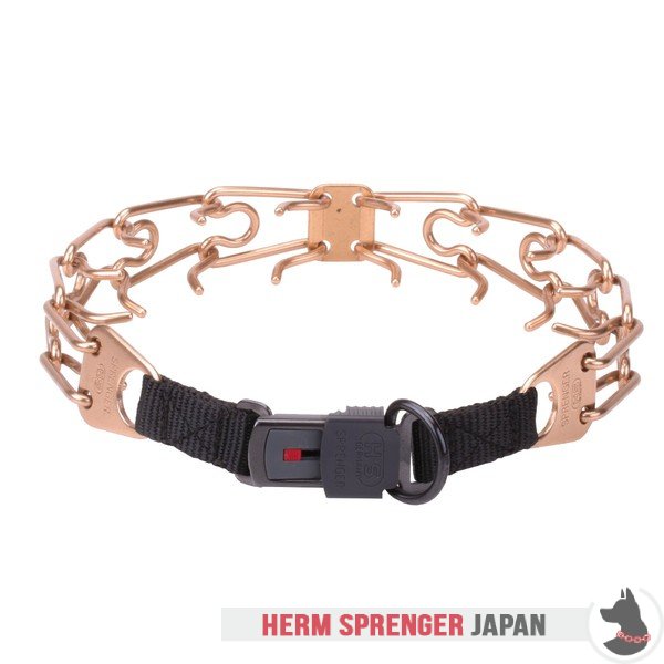 "Aggression Buster" クロガンのピンチ首輪中心部のプレートとクリック・ロック・バックル付き(4 mm x 60cm)