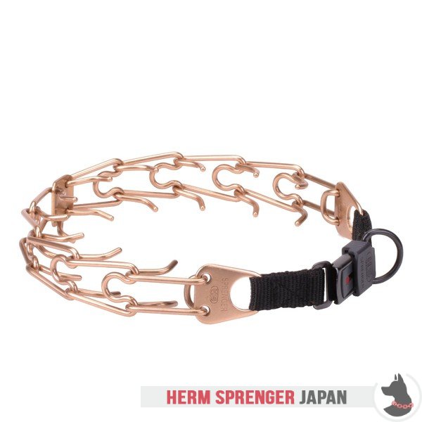 "Aggression Buster" クロガンのピンチ首輪中心部のプレートとクリック・ロック・バックル付き(4 mm x 60cm)