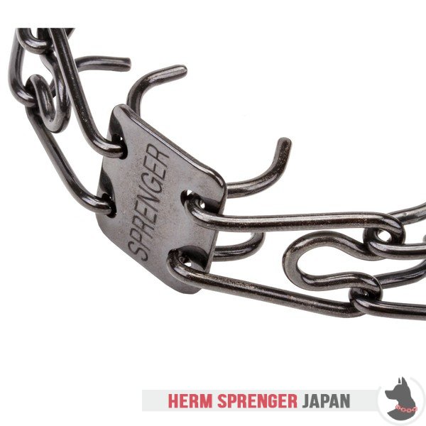 "Good Doggy Kit" 黒いステンレス鋼製ピンチカラー　クリック・ロック・バックルとナイロン製ループ付き 2.25 mm x 40.6 cm