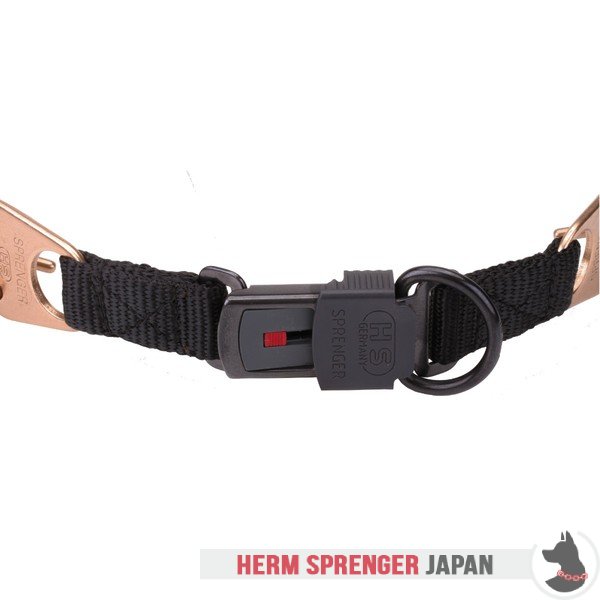 "Aggression Buster" クロガンのピンチ首輪中心部のプレートとクリック・ロック・バックル付き(4 mm x 60cm)