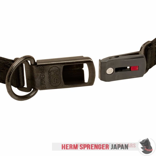 "The Golden Boy" クロガン製スポーツのネックテック犬用首輪　48 cm